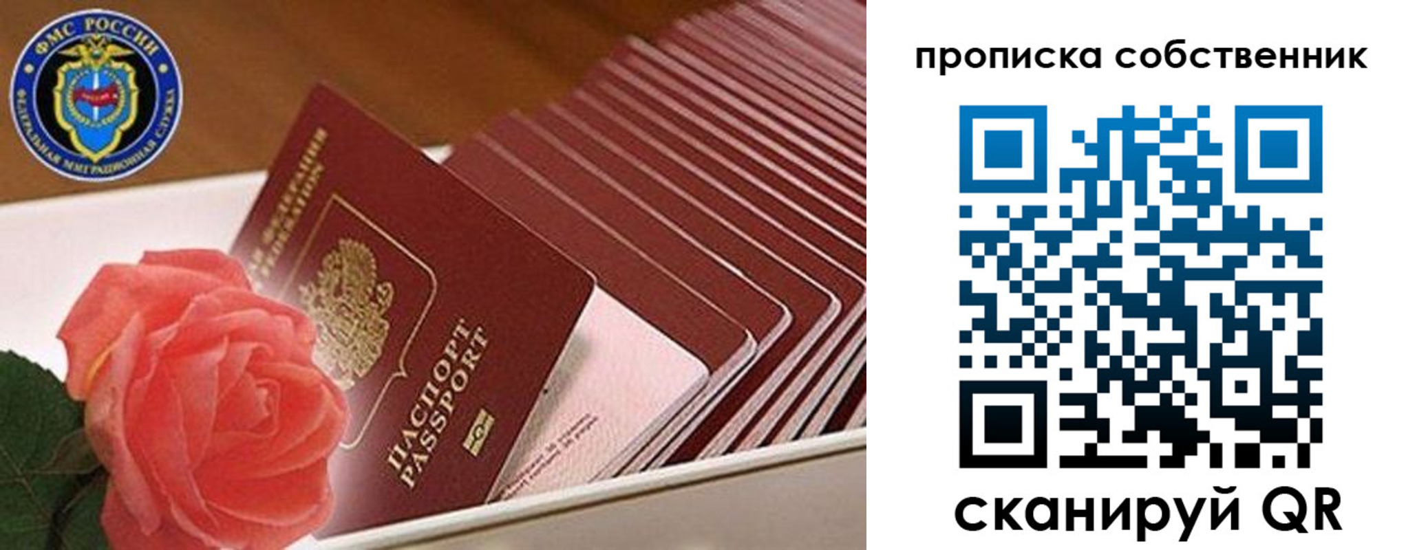 прописка поиск в Кимовске